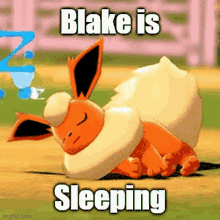 blake sleeping flareon pokemon