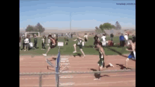 Over The Hurdles, Not Into Them. GIF - Hurdle Race Fail GIFs