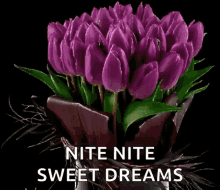 Nite Nite Sweet Dreams GIF
