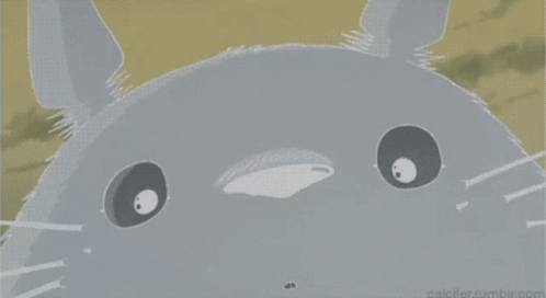 Studio Ghibli Totoro Gif Studio Ghibli Totoro Smile Discover Share Gifs