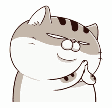 fat cat ami applause clap clapping kitty
