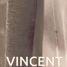Vincent Purple Guy GIF - Vincent Purple Guy Mad GIFs