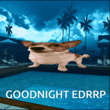Edrrp Goodnight GIF - Edrrp Goodnight Goodnight Edrrp GIFs