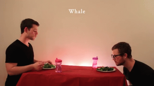 How Animals Eat Their Food GIF - Animals Eat Funny - Discover & Share GIFs