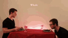 How Animals Eat Their Food GIF - Animals Eat Funny GIFs