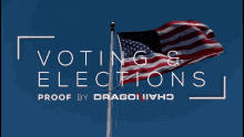 Voting Elections GIF - Voting Elections United States Flag GIFs