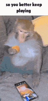 a monkey is eating an orange next to a cell phone that says " so you better keep playing "