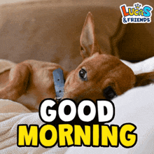 a picture of a dog laying on a bed with the words " good morning "