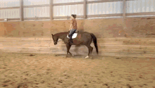 Horse Riding GIF