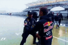Daniel Ricciardo Red Bull Racing GIF - Daniel Ricciardo Ricciardo Red Bull Racing GIFs