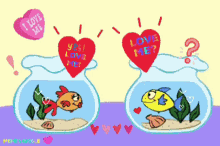 love love you love me fish fish tank