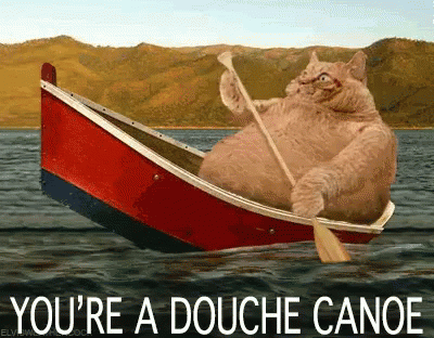 cat youre a douche canoe paddling canoeing