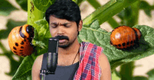 Song Leaf GIF - Song Leaf Microphone GIFs