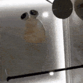 a close up of a frog 's head in a glass display case .