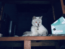 a white cat with red eyes is sitting on a wooden table