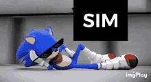 Sim Yes GIF - Sim Yes Sonic GIFs