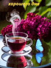 a cup of tea sits on a saucer next to a butterfly