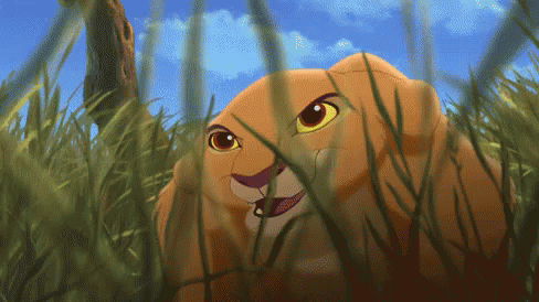 Rawr GIF - Hunting Onthehunt Lion - Discover & Share GIFs