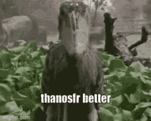 Sed Thanosfr GIF - Sed Thanosfr GIFs