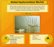 Global Hyaluronidase Market GIF - Global Hyaluronidase Market GIFs