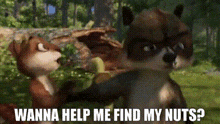 Over The Hedge GIF - Over The Hedge GIFs