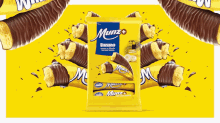 Schokolade Swiss GIF - Schokolade Swiss Munz GIFs