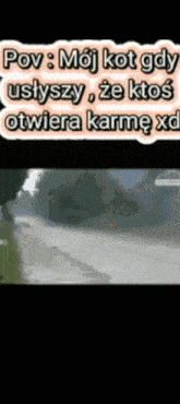 Carma Karma GIF - Carma Karma Kot GIFs