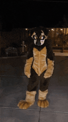 a person in a furry dog costume is standing on a sidewalk at night