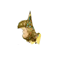 a drawing of a bird with a yellow and blue feathered head