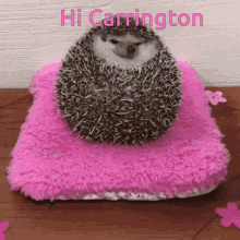 Hi Carrington GIF