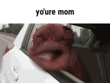 youre mom ur mom funny dog funny face 69