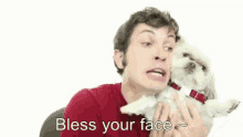 Bless Your Face GIF - Bless You Bless Your Face Dog GIFs