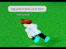 a roblox character is laying on the ground with a speech bubble above him .