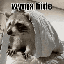 Wynja Wynja Hide GIF - Wynja Wynja Hide Wynjahide GIFs