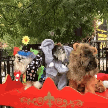 Dogs In Costumes Pet Parade GIF