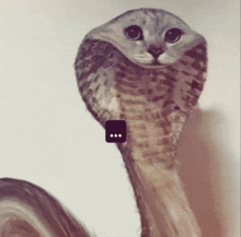 a picture of a cat with a snake 's head