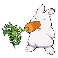 a white rabbit is eating a carrot with green leaves