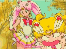 Sailor Moon Chibiusa GIF - Sailor Moon Chibiusa Grow Up GIFs
