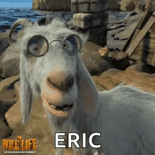 Eric Goat GIF - Eric Goat Dumb GIFs