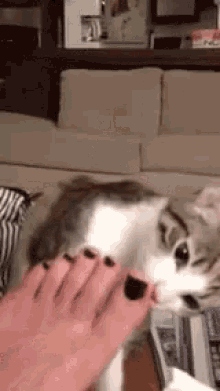 GIF