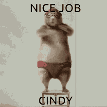 Cindy Swimming GIF - Cindy Swimming Nice Job GIFs