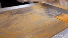 a tray of food with the words made in animatica on it