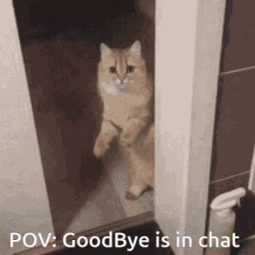 Stable Goodbye Is In Chat GIF - Stable Goodbye Is In Chat Scary Discord Mod  - Discover & Share GIFs