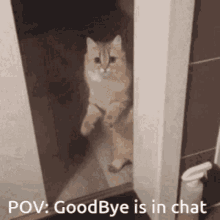 Stable Goodbye Is In Chat GIF