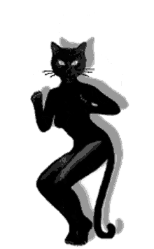kot1 cat woman dancing