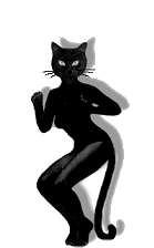 Kot1 Cat Woman Sticker - Kot1 Cat Woman Dancing Stickers