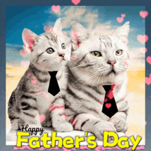 a father 's day card with two kittens wearing ties
