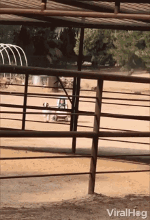 Running Goat Goat GIF - Running Goat Goat Cart GIFs