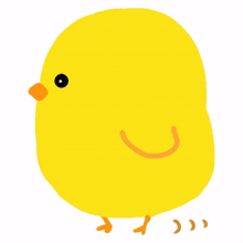bird cute animal yellow boring