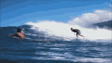 Surf Surfwil GIF - Surf Surfwil GIFs